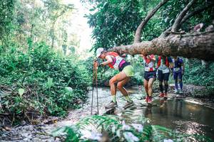 BIB: 
                            <button type="button" onclick="openModal(25436550)" class="btn btn-primary btn-sm float-right btn-popup" data-toggle="modal" data-target=".modal-high-quality">
                        <i class="fas fa-shopping-cart"></i> Add to Cart
                    </button>
                                            <button type="button" onclick="isThisMe(25436550, true)" class="btn btn-success btn-sm float-right btn-popup btn-isme hidden" data-toggle="tooltip" data-placement="bottom" title="นี่คือรูปของคุณใช่ไหม คลิกที่นี่เพื่อเอาเข้าอัลบั้ม">
                        <i class="fas fa-plus"></i> Add to album
                    </button>
                    <button type="button" onclick="isThisMe(25436550, false)" class="btn btn-warning btn-sm float-right btn-popup btn-isnotme hidden">
                        <i class="fas fa-ban"></i> Remove from album
                    </button>